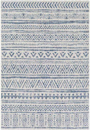 Elodie Global Denim Area Rug