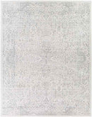 Peize Traditional Medium Gray Area Rug