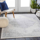 Pieperij Traditional Medium Gray Area Rug