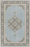Torenveen Traditional Aqua Area Rug