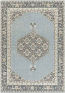 Torenveen Traditional Aqua Area Rug