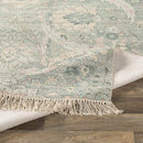 Wijster Traditional Sage Area Rug