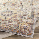 Borsele Traditional Bright Orange Area Rug