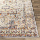 Borsele Traditional Bright Orange Area Rug