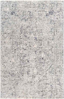 Zuidplas Traditional Medium Gray Area Rug