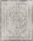 Tadley Traditional Medium Gray Area Rug