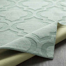Bergerac Modern Mint Area Rug