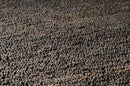 Prato Cottage Dark Brown Area Rug