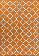 Selwerd Modern Burnt Orange Area Rug