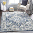 Tricht Traditional Charcoal Area Rug