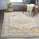 Westeneng Traditional Burnt Orange Area Rug
