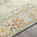 Balk Traditional Wheat Area Rug