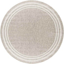 Wezep Traditional Light Gray Area Rug