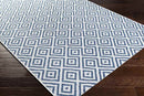 Aekinga Traditional Blue Area Rug