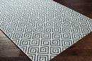 Aekinga Traditional White Area Rug