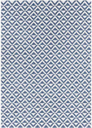 Akkrum Modern Blue Area Rug