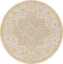 Appelscha Traditional Ivory Area Rug