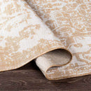 Appelscha Traditional Ivory Area Rug
