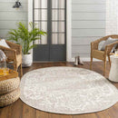 Appelscha Traditional Taupe Area Rug