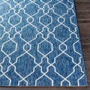 Valentijn Traditional Denim Area Rug