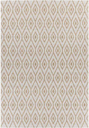 Varssel Traditional Burned Orange Area Rug