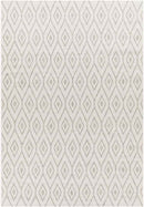 Varssel Traditional Ivory Area Rug