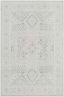 Terwolde Global Medium Gray Area Rug
