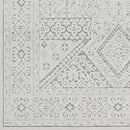Terwolde Global Medium Gray Area Rug