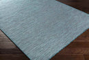 Tonsel Traditional Aqua Area Rug