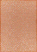 Buiksloot Traditional Bright Orange Area Rug