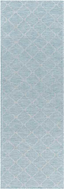 Bussum Traditional Aqua Area Rug