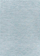 Bussum Traditional Aqua Area Rug