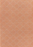 Bussum Traditional Bright Orange Area Rug