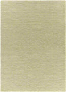 Castricum Traditional Light Green Area Rug