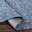 Cruquius Global Navy Area Rug