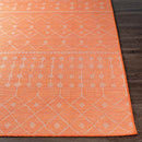 Cruquius Global Bright Orange Area Rug