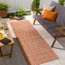 Cruquius Global Bright Orange Area Rug