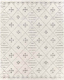 Nekkeveld Global Light Gray Area Rug