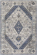 Lochem Traditional Light Gray Area Rug