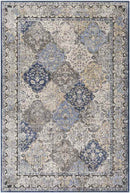 Loenen Traditional Light Gray Area Rug