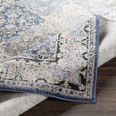 Loenen Traditional Light Gray Area Rug