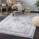 Loenen Traditional Light Gray Area Rug