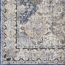 Loenen Traditional Light Gray Area Rug
