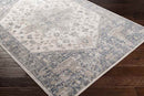 Hurwenen Traditional Medium Gray Area Rug