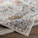 Gooi Traditional Medium Gray Area Rug