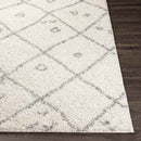 Harreveld Global Medium Gray Area Rug