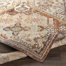 Heemskerk Traditional Brick Area Rug
