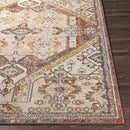 Heemskerk Traditional Brick Area Rug