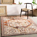 Heemskerk Traditional Brick Area Rug