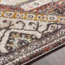Heemskerk Traditional Brick Area Rug